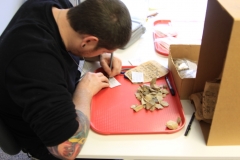 Veterans Curation Program (VCP)
